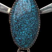 Dense Spiderweb Turquoise Necklace by Mike Begay