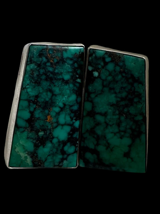 Teal Spiderweb Turquoise Earrings by Tommy