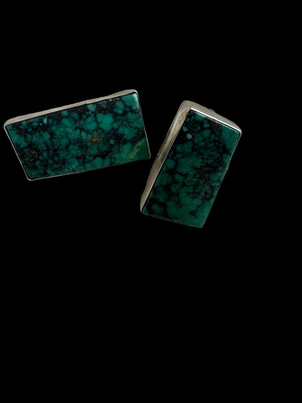 Teal Spiderweb Turquoise Earrings by Tommy